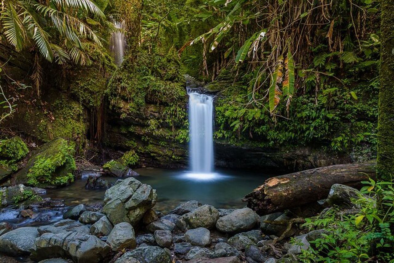 Tour privato alla cascata a Porto Rico — 5