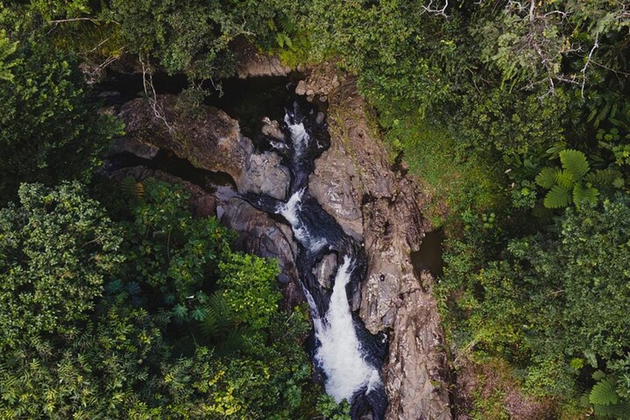 Tour privato alla cascata a Porto Rico — 3