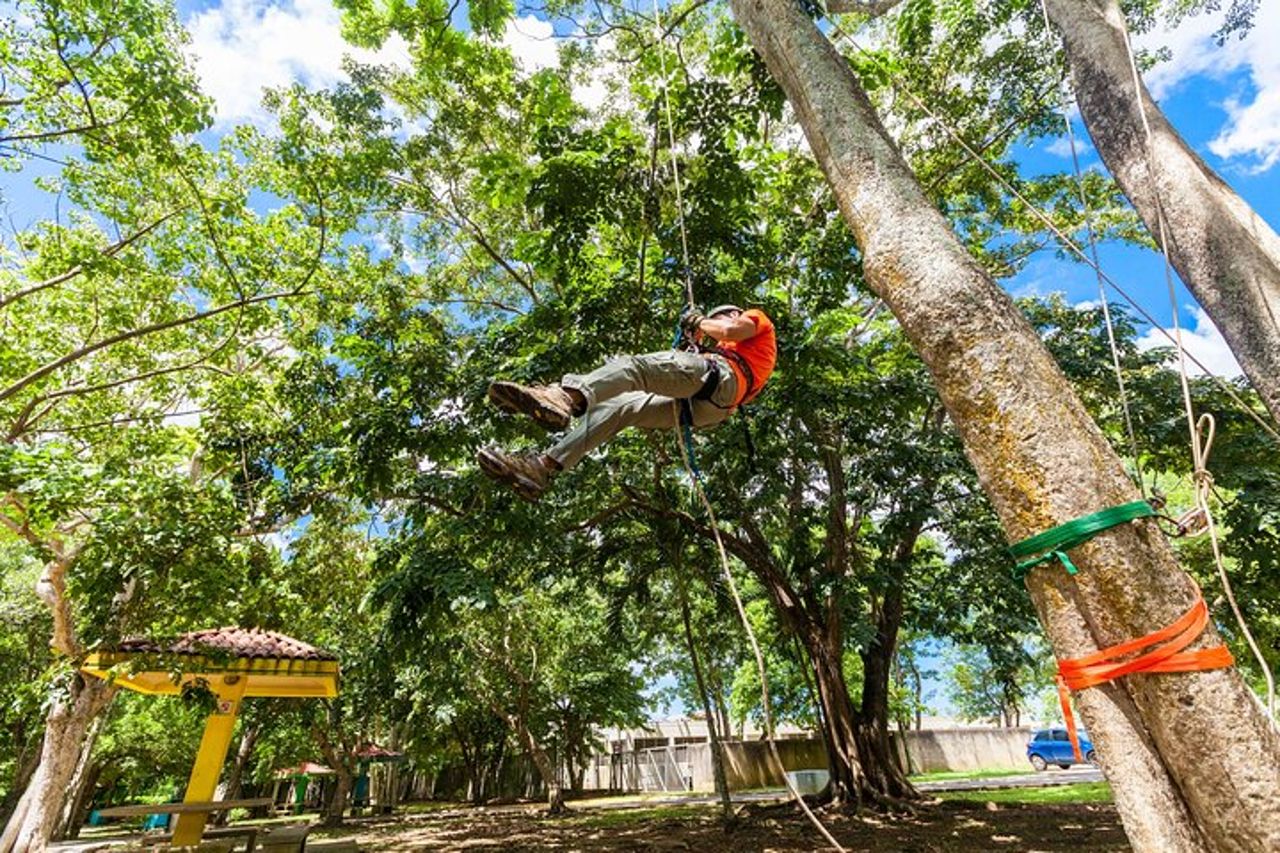 Tour privato in ziplining a Porto Rico — 3