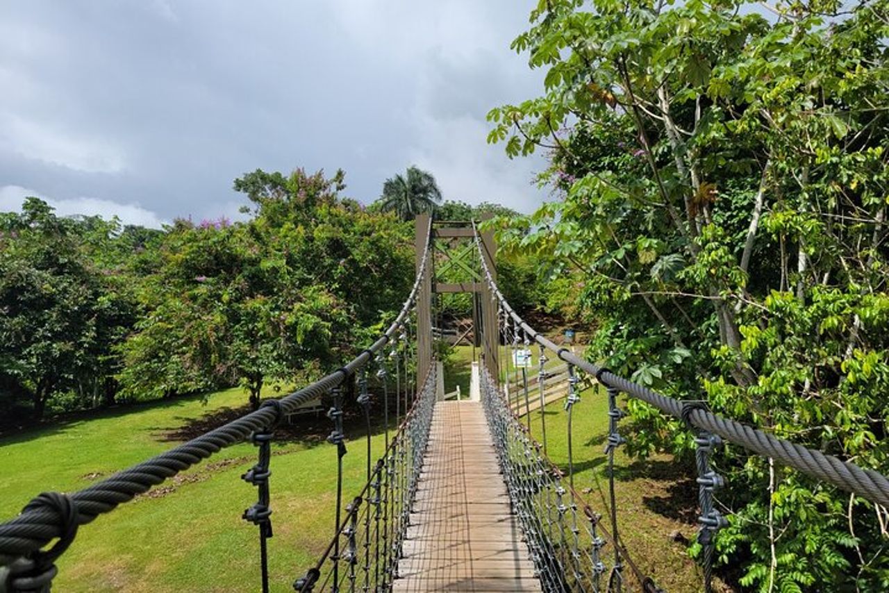 Tour privato in ziplining a Porto Rico — 2