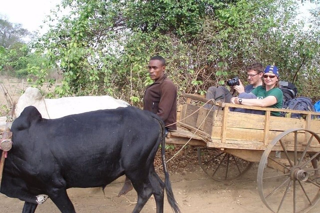 Adevnture di 5 giorni: Camping Tsirihina Rivertrip al viale Baobab — 7