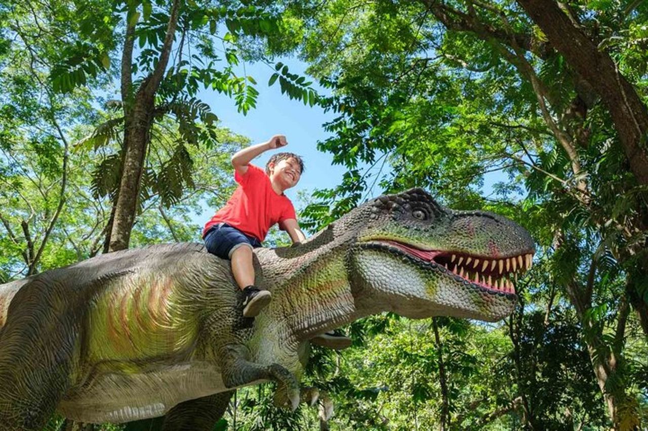 Parco avventura Zipline gigante di 6 ore alle Fiji — 2