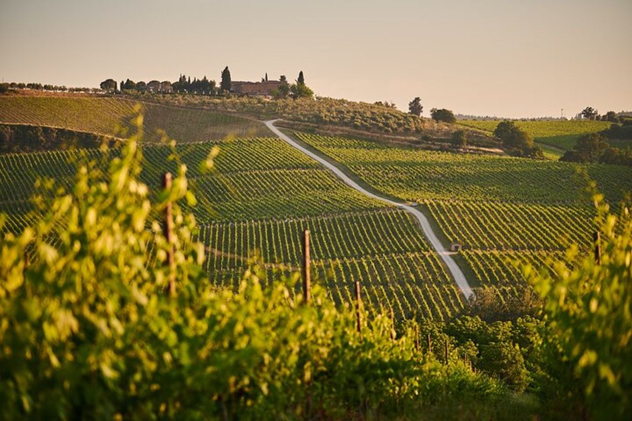San Gimignano, Siena, Monteriggioni, Chianti Gita di un giorno con pranzo e degustazione di vini — 8