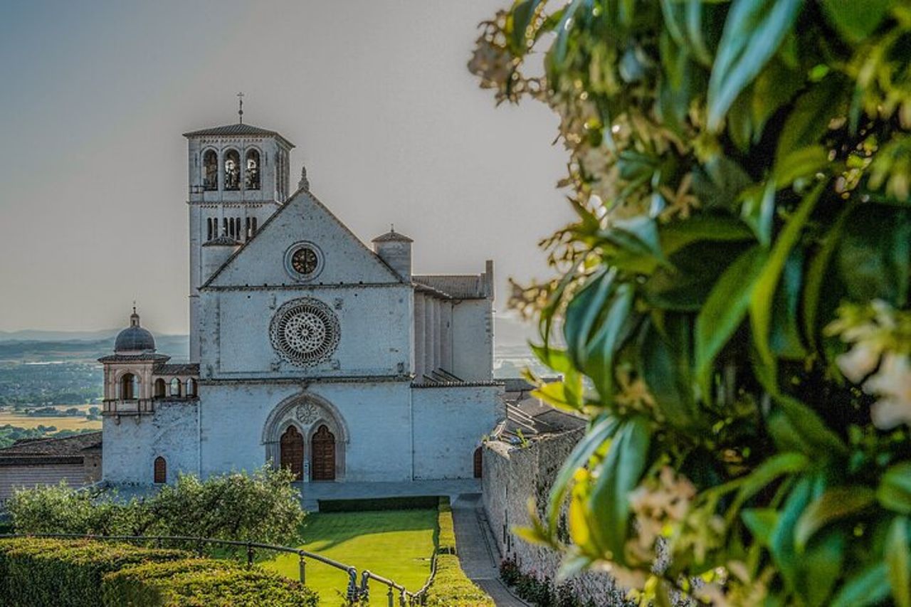 Tour della Basilica di San Francesco con guida ufficiale — 5