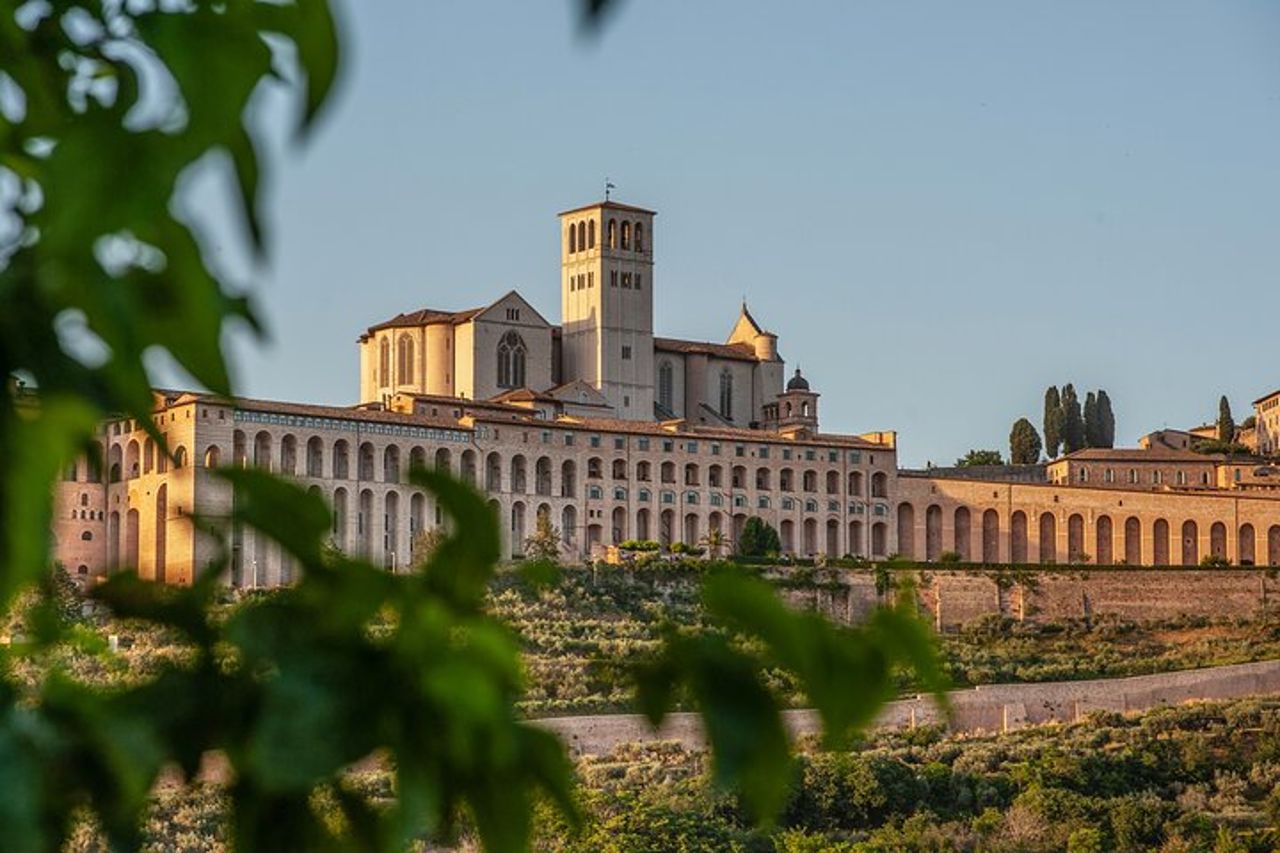 Tour della Basilica di San Francesco con guida ufficiale — 4