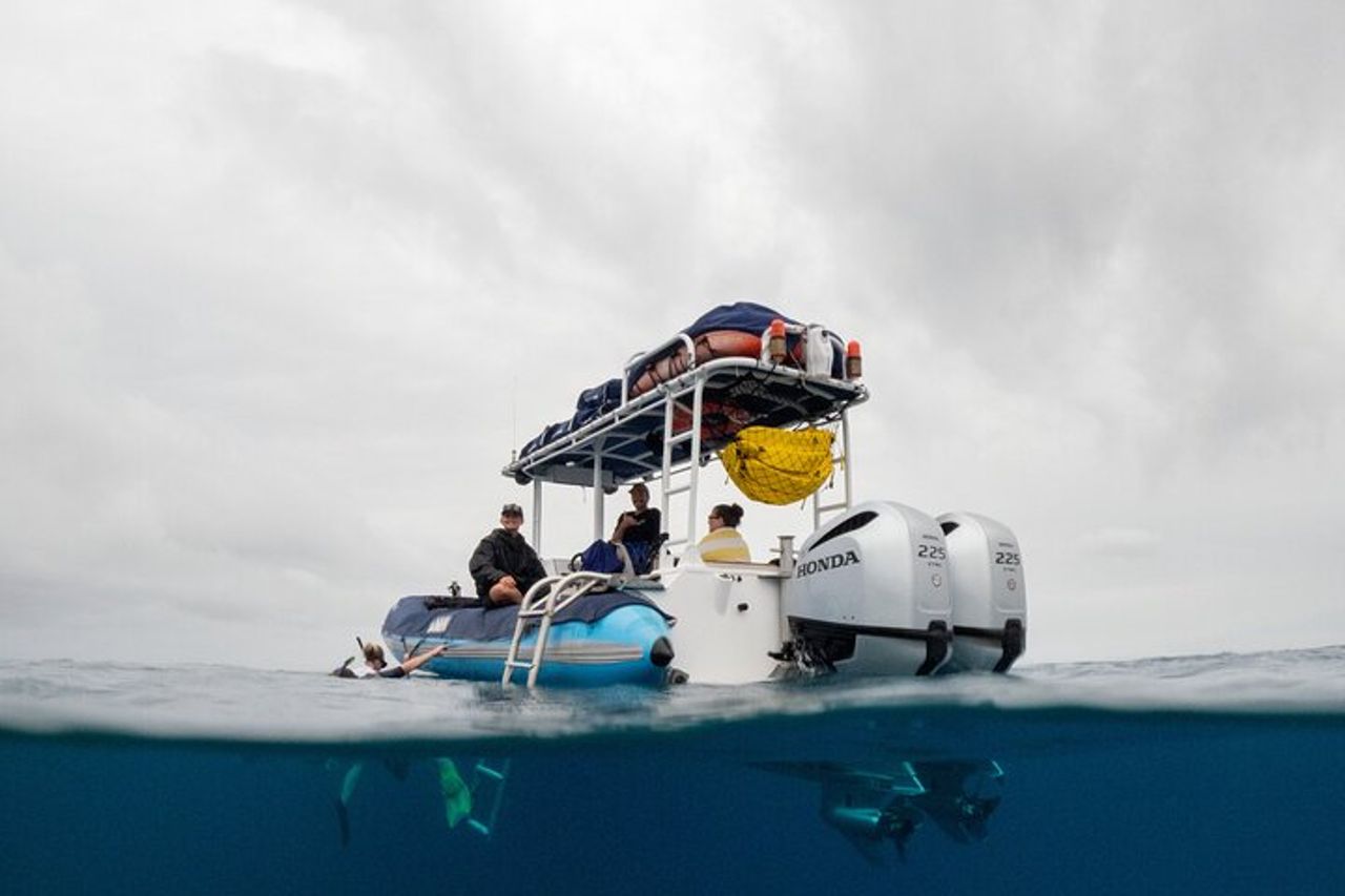 Il miglior snorkeling Molokini Express di 2 ore — 5
