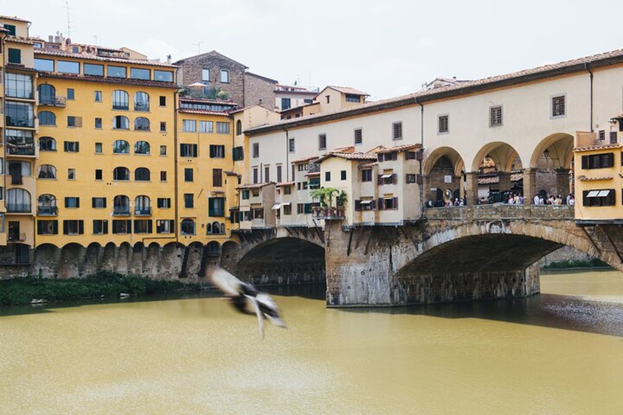 Escursione a terra a Livorno: Firenze e Pisa con Accademia e Torre — 8