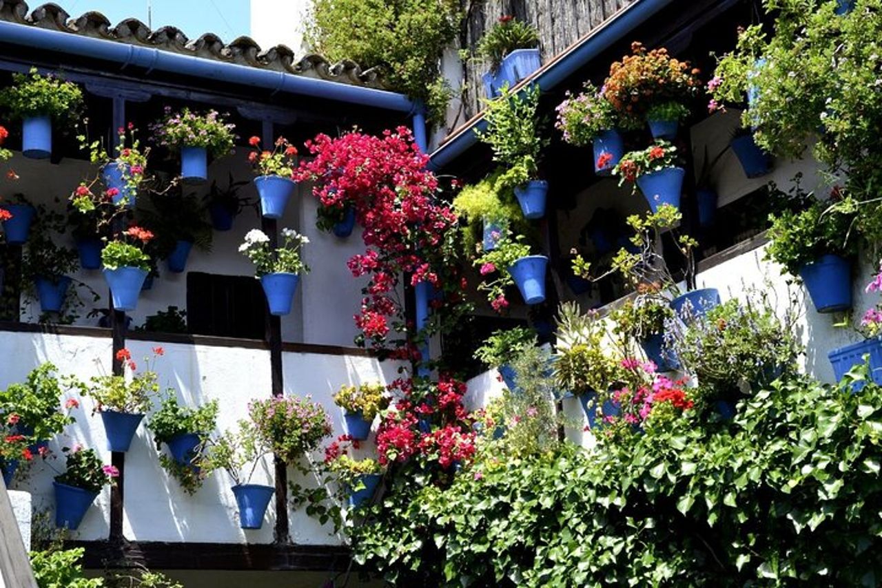 Escursione di un giorno a Cordova: un viaggio nella storia da Malaga — 4