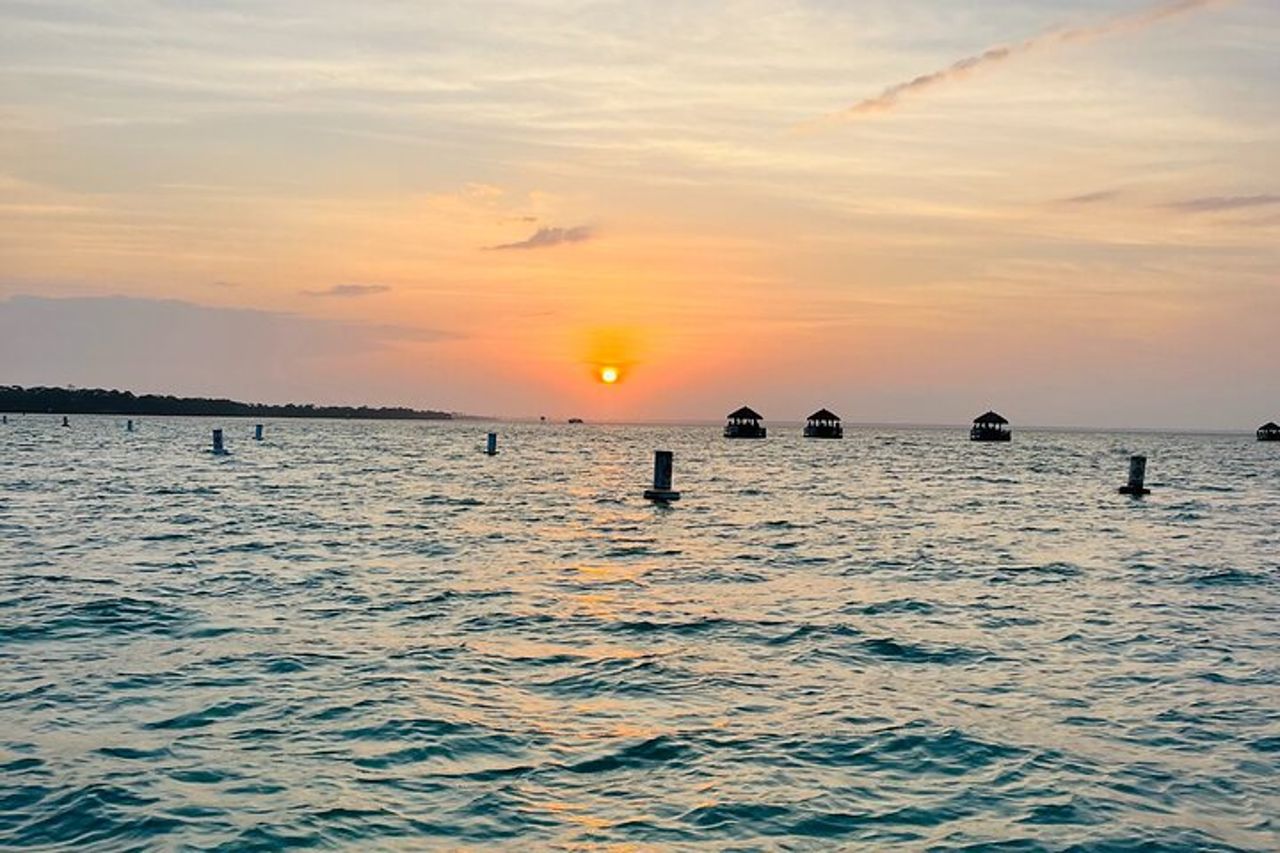 Tour guidato al tramonto ed ecologico non privato a Destin, FL — 4