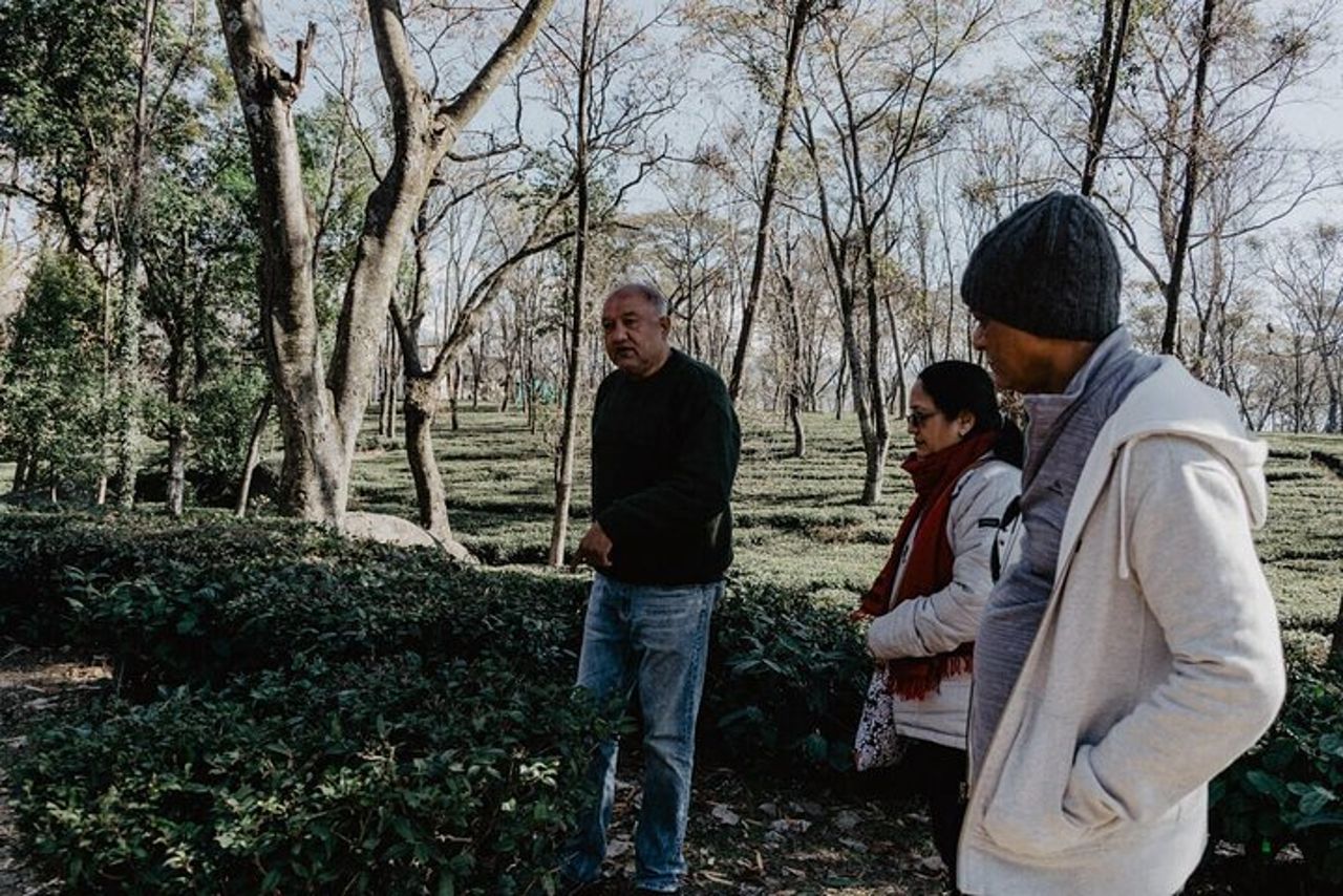 Visita guidata a Palampur-Monasteri, Tempio e Giardini del Tè — 5