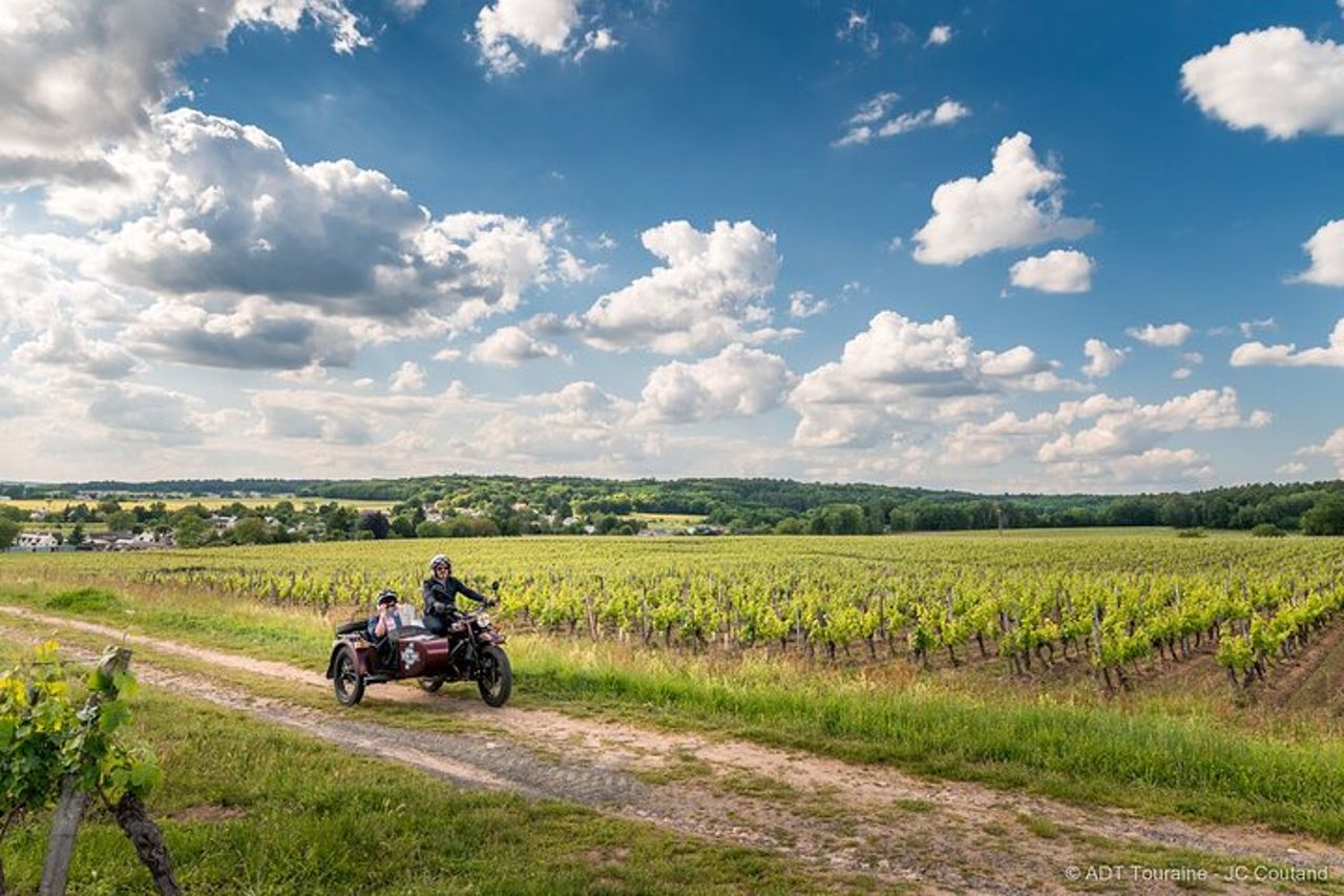 Tour di mezza giornata in sidecar da Tours — 6