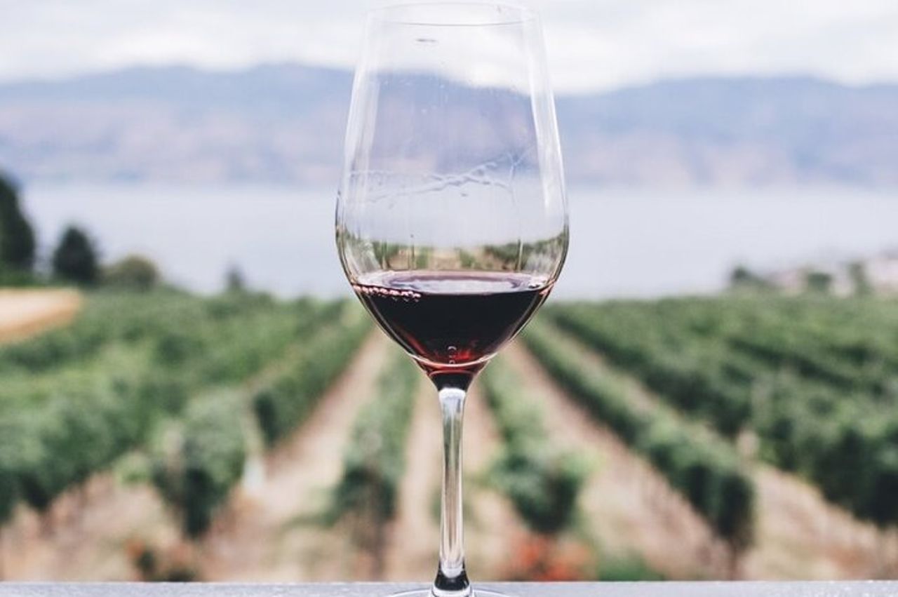 Cefalonia Wine Adventure con 18 Degustazioni in 3 Cantine — 9