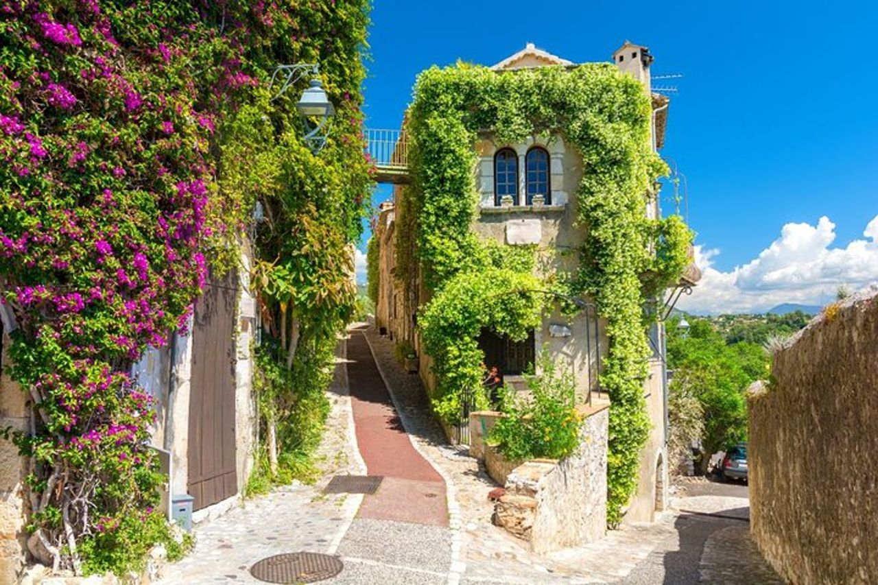 Tour panoramico del mercato provenzale e degustazione di vini — 9