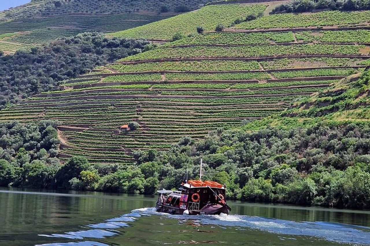 Valle del Douro-Guida Esperta-Barca-Pranzo-Degustazioni-Offerta bottiglia di vino — 5