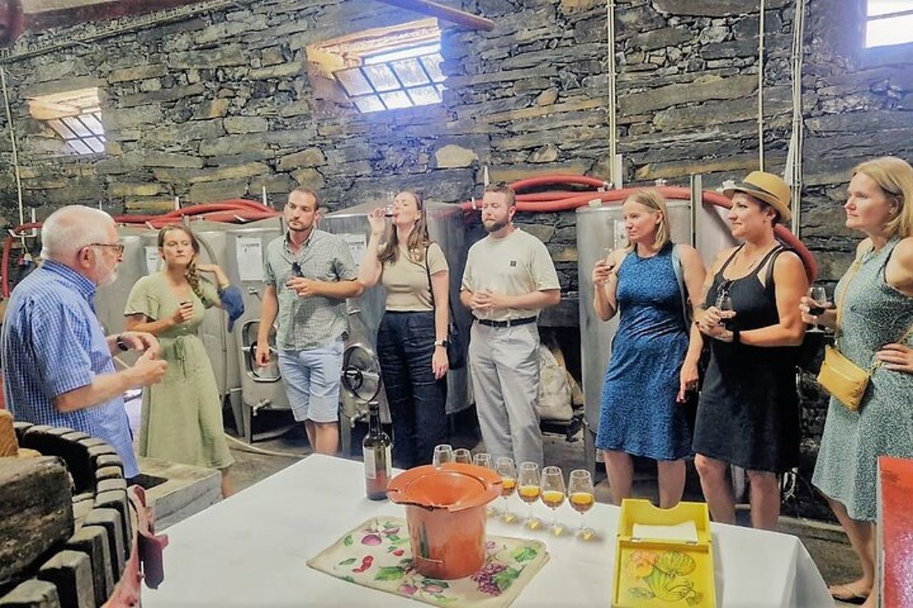 Valle del Douro-Guida Esperta-Barca-Pranzo-Degustazioni-Offerta bottiglia di vino — 3