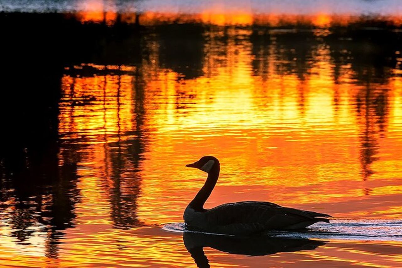 Escursione all'alba nel Parco Nazionale delle Montagne Rocciose — 5