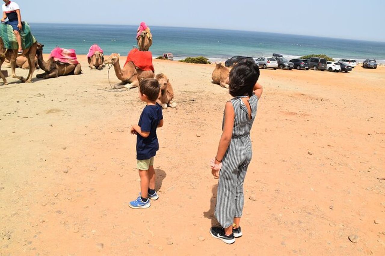 Tour privato di Tangeri da Malaga o Marbella con guida e autista — 4