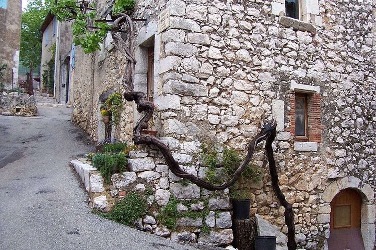 Visita guidata di un giorno intero: Cannes, Antibes, St Paul de Vence da Nizza — 9