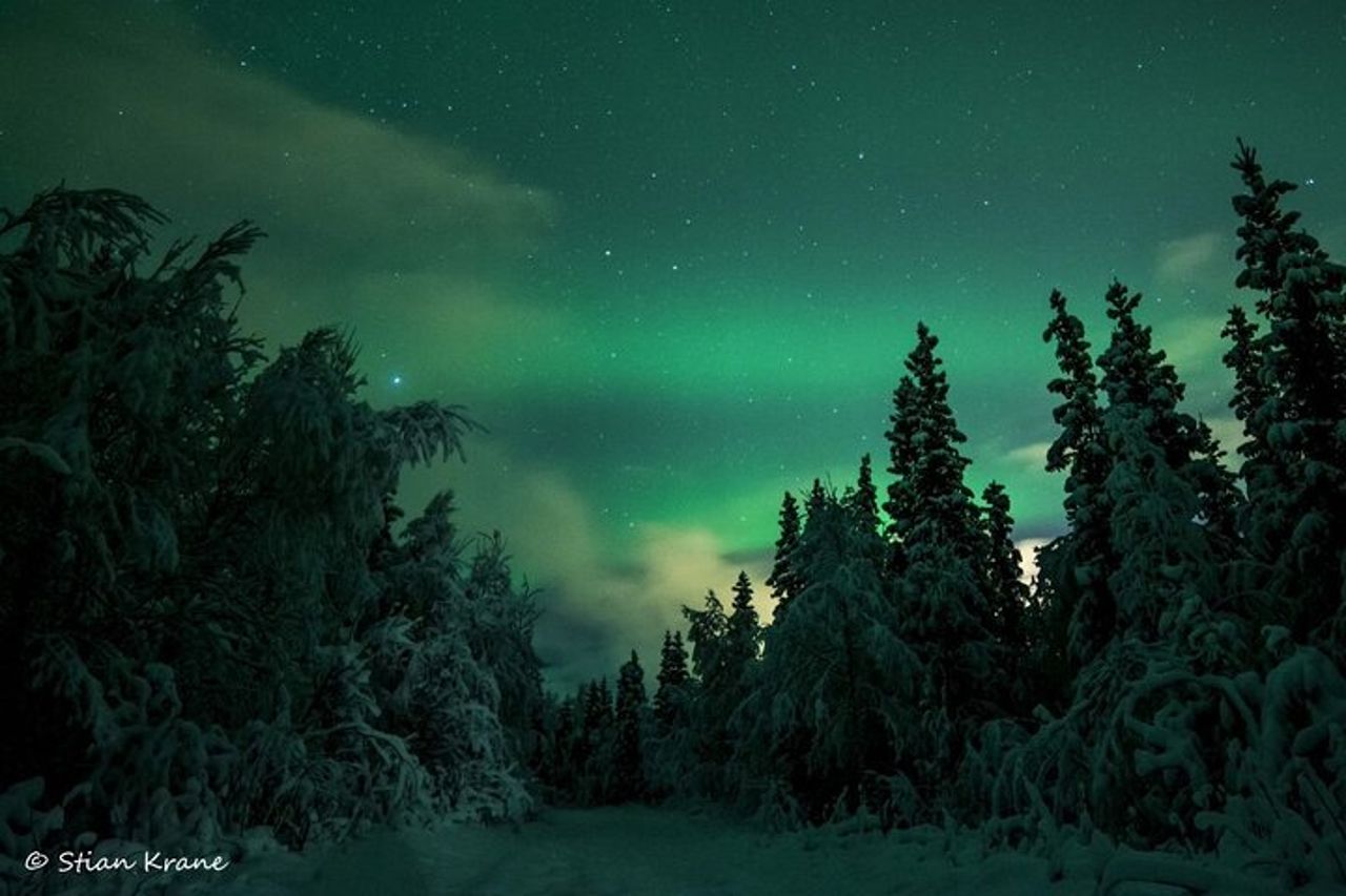 Avventura artica: caccia all'aurora boreale con le motoslitte — 6