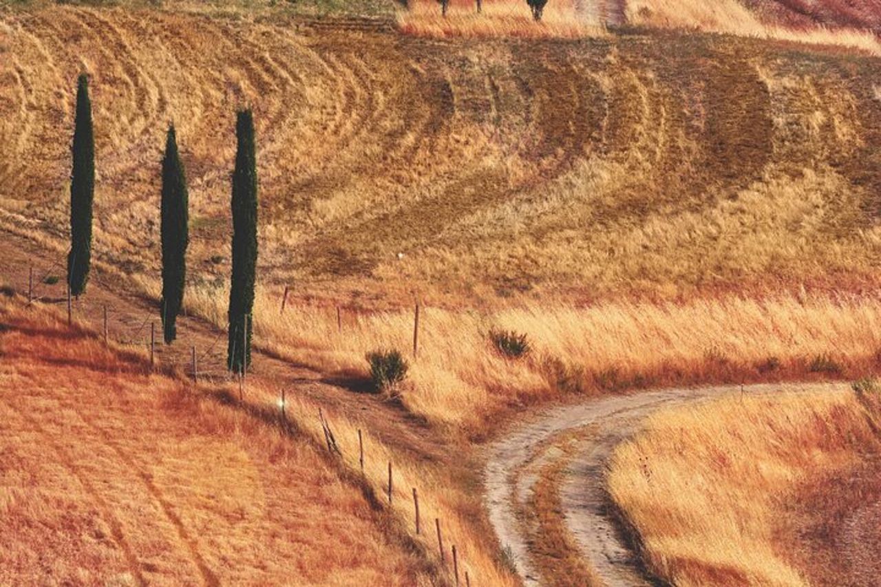 Tour privato del Chianti — 6