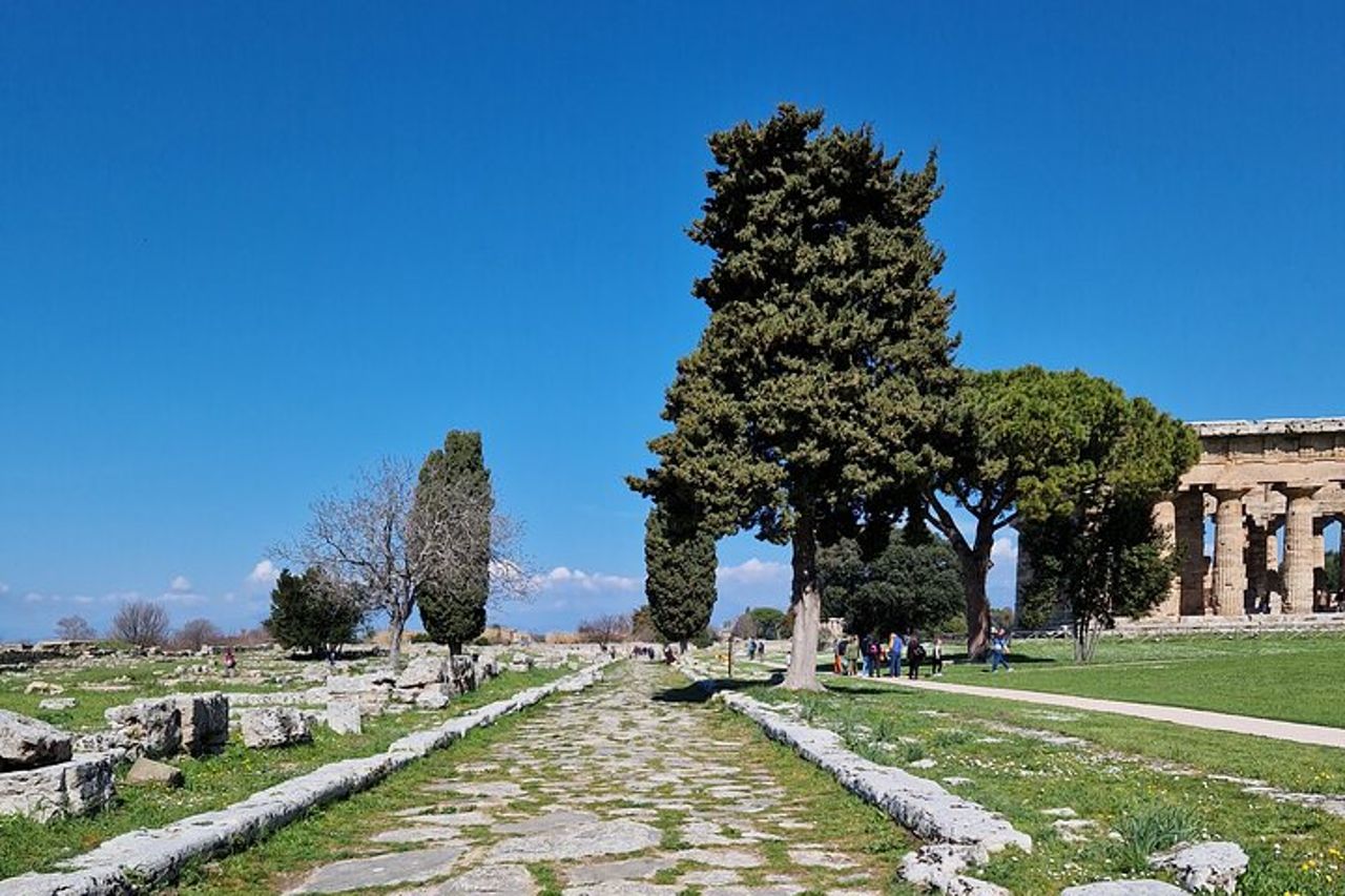 Trasferimenti privati da e per Napoli da Paestum e Caserta — 2