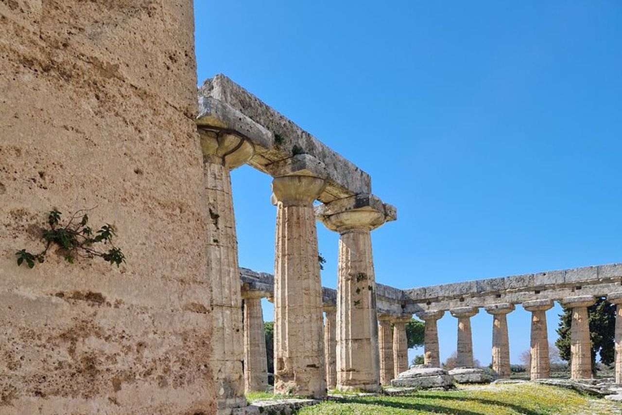Trasferimenti privati da e per Napoli da Paestum e Caserta — 5