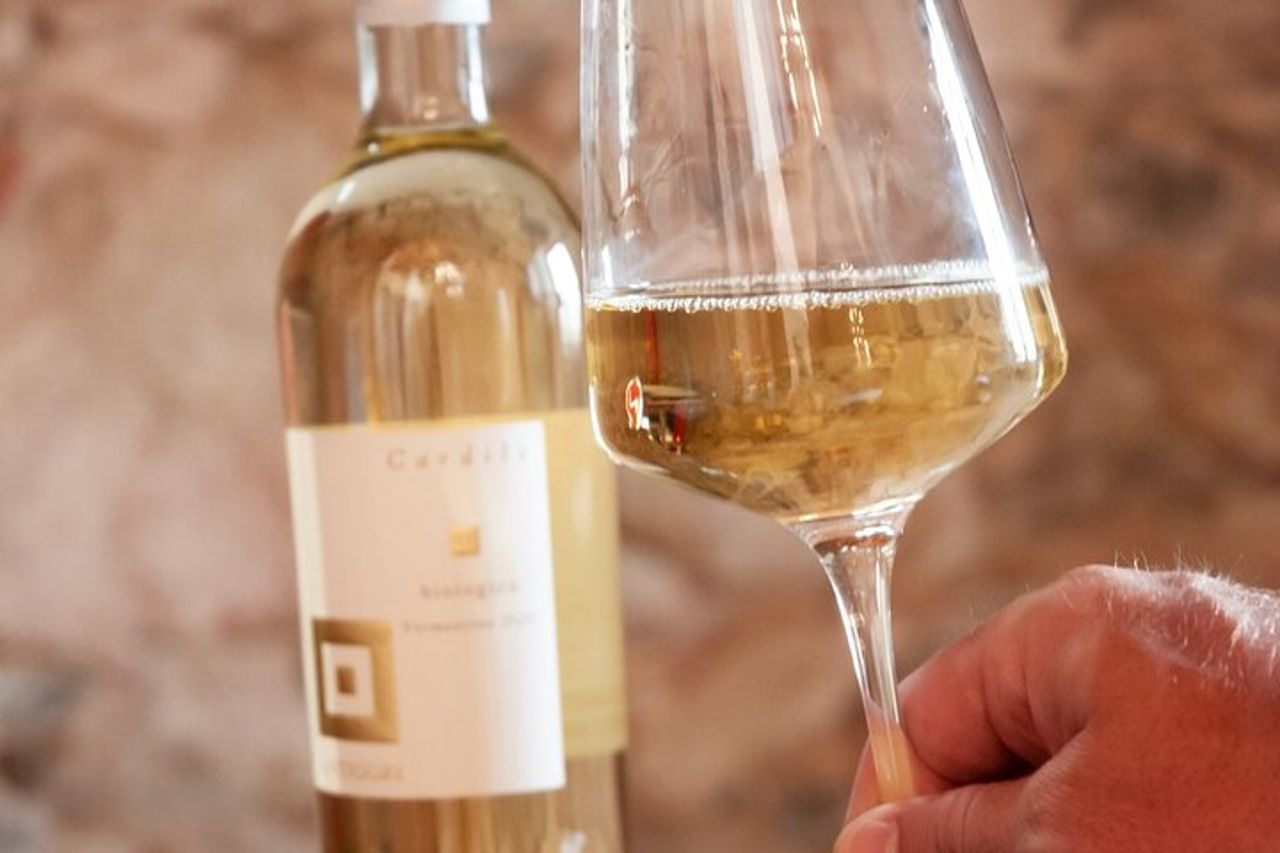 Tour Nora e Cantine Nuraghe Antigori INGRESSI INCLUSI
