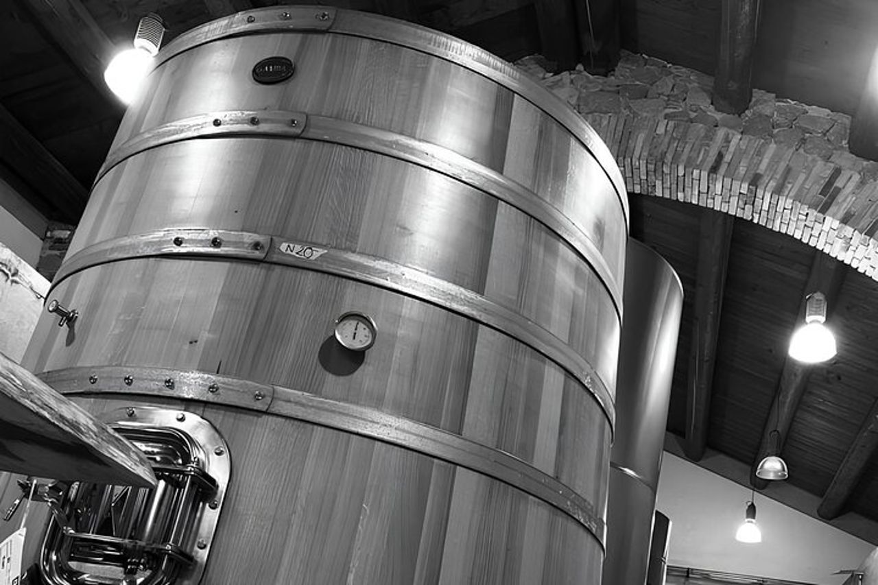 Tour Nora e Cantine Nuraghe Antigori INGRESSI INCLUSI — 3