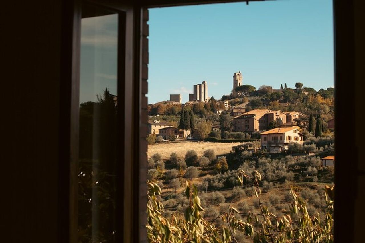 Degustazione di vini e oli EVO con pranzo toscano — 9