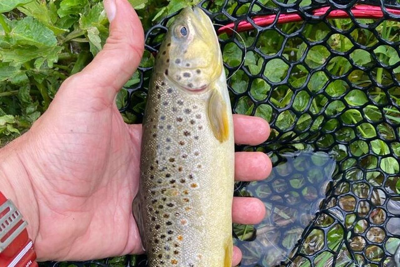 Giornata di Pesca a Mosca in Valnerina Accompagnato da una Guida — 7