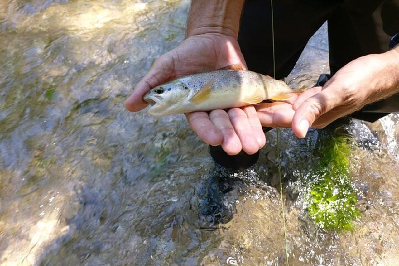 Giornata di Pesca a Mosca in Valnerina Accompagnato da una Guida — 9