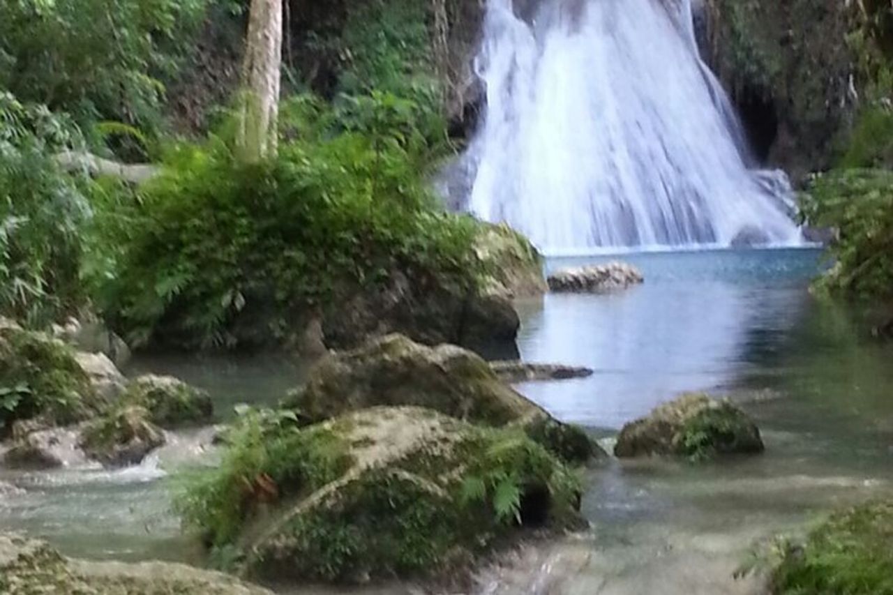 Blue Hole e Dunns River Falls da Falmouth — 6