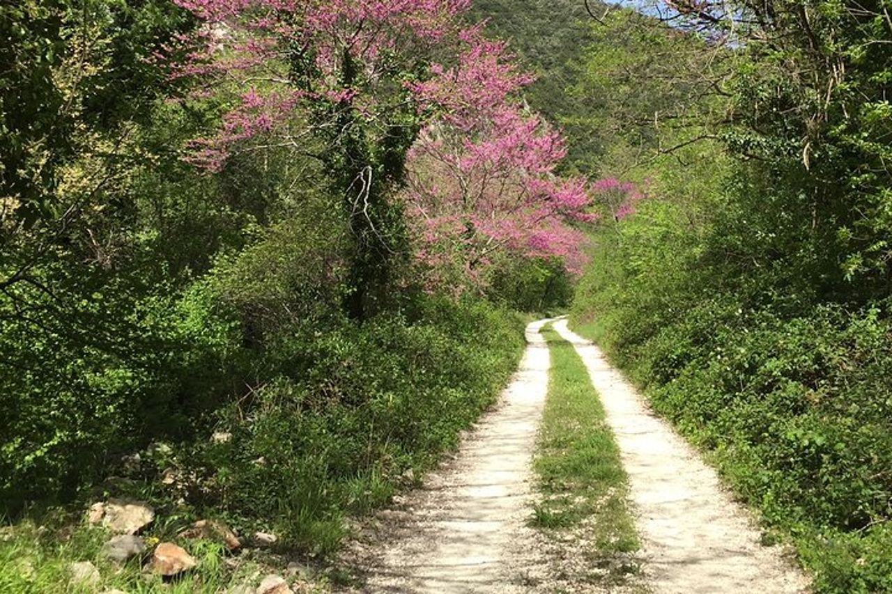 Giornata di Pesca a Mosca in Valnerina Accompagnato da una Guida — 8