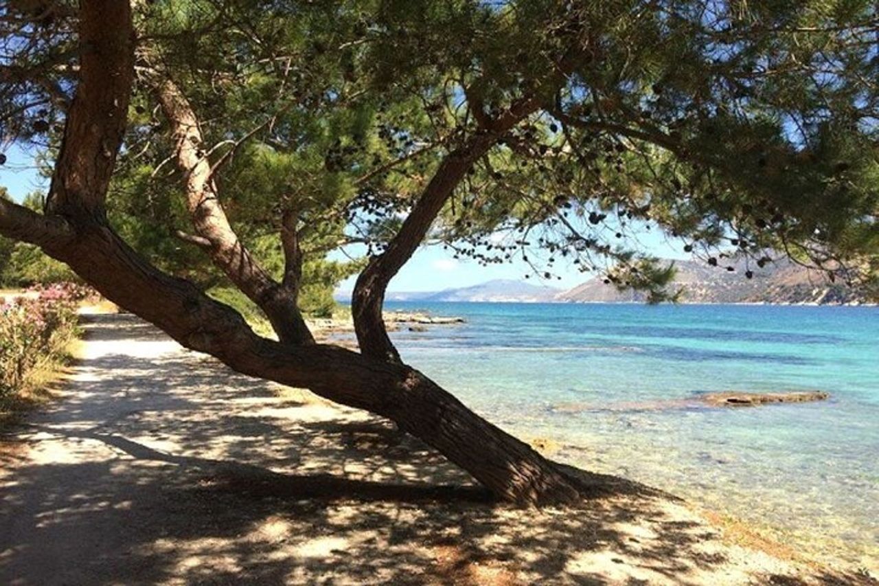 Argostoli & Oltre : Borghi, Degustazione Olio d'Oliva e Miele — 9
