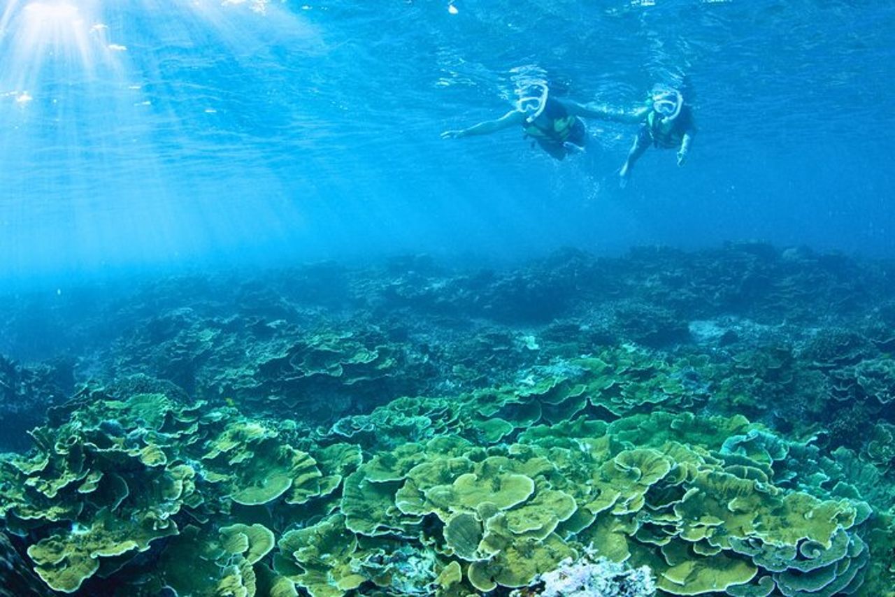 Partenza dal villaggio di Onna (porto peschereccio di Maeda)!Esperienza di snorkeling e traina a Minnajima | Piano di noleggio di imbarcazioni completamente private (corso di 6 ore) — 2
