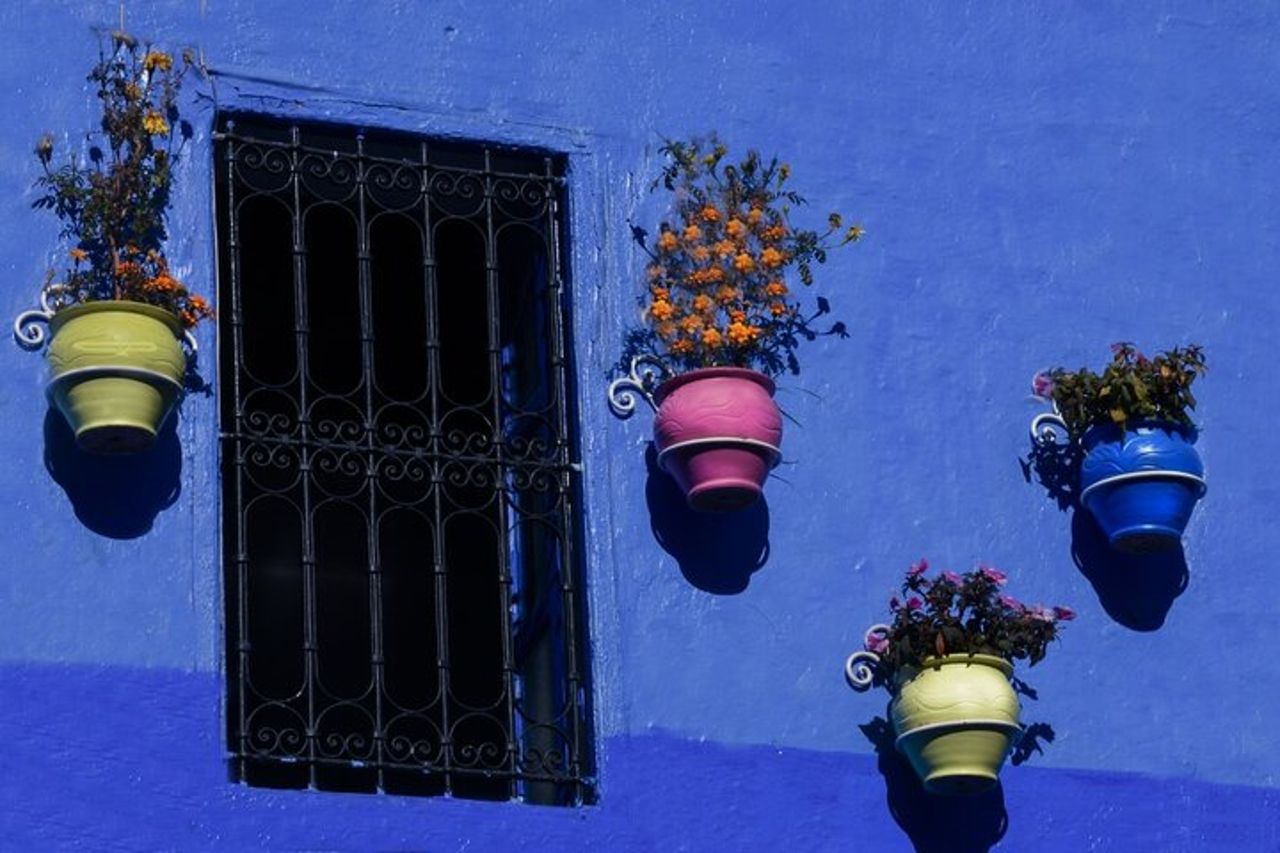 Gita di un giorno a Chefchaouen da Fez con Esperto locale — 6