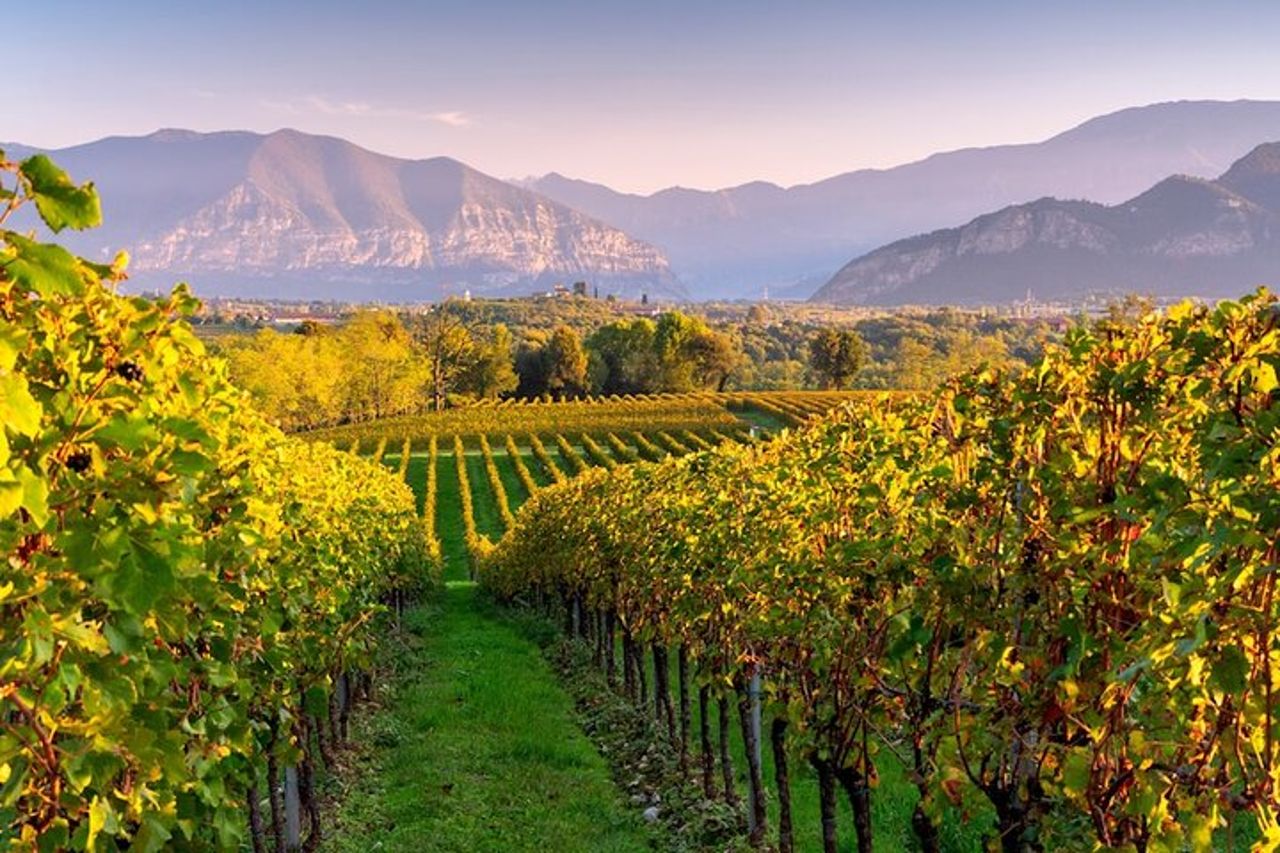 Esperienza VIP al Lago d'Iseo e degustazione di vini Franciacorta — 6