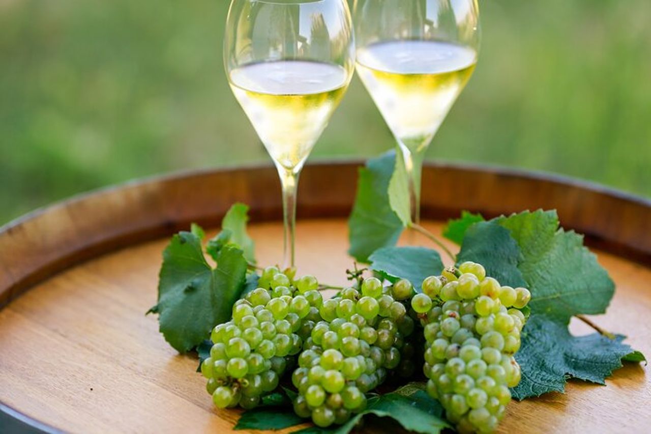 Esperienza VIP al Lago d'Iseo e degustazione di vini Franciacorta — 4
