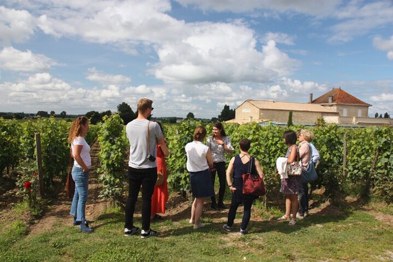 Tour del vino pomeridiano di Saint-Emilion - 2 Cantine e prelibatezze — 2