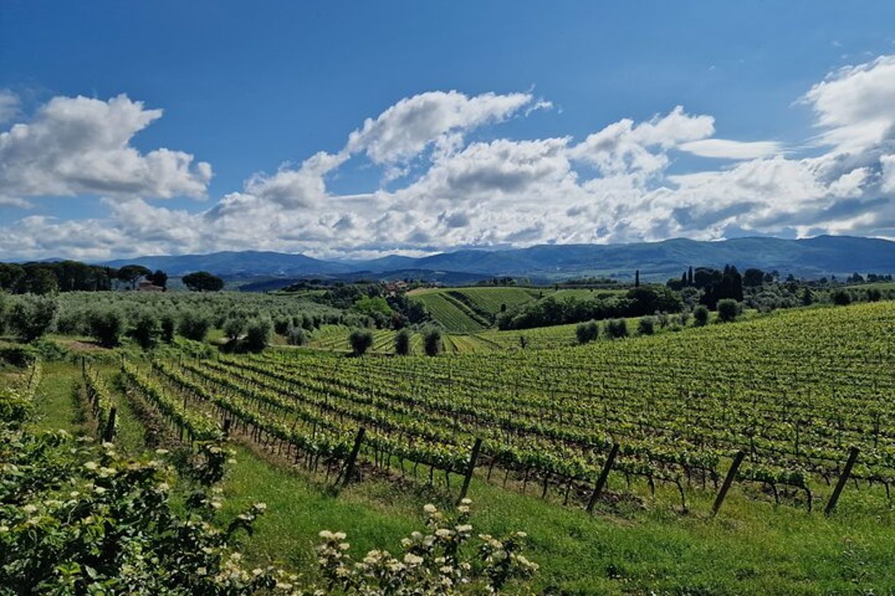 IL MAESTRO del Chianti Classico 3 Cantine Top Servizio Limousine — 3