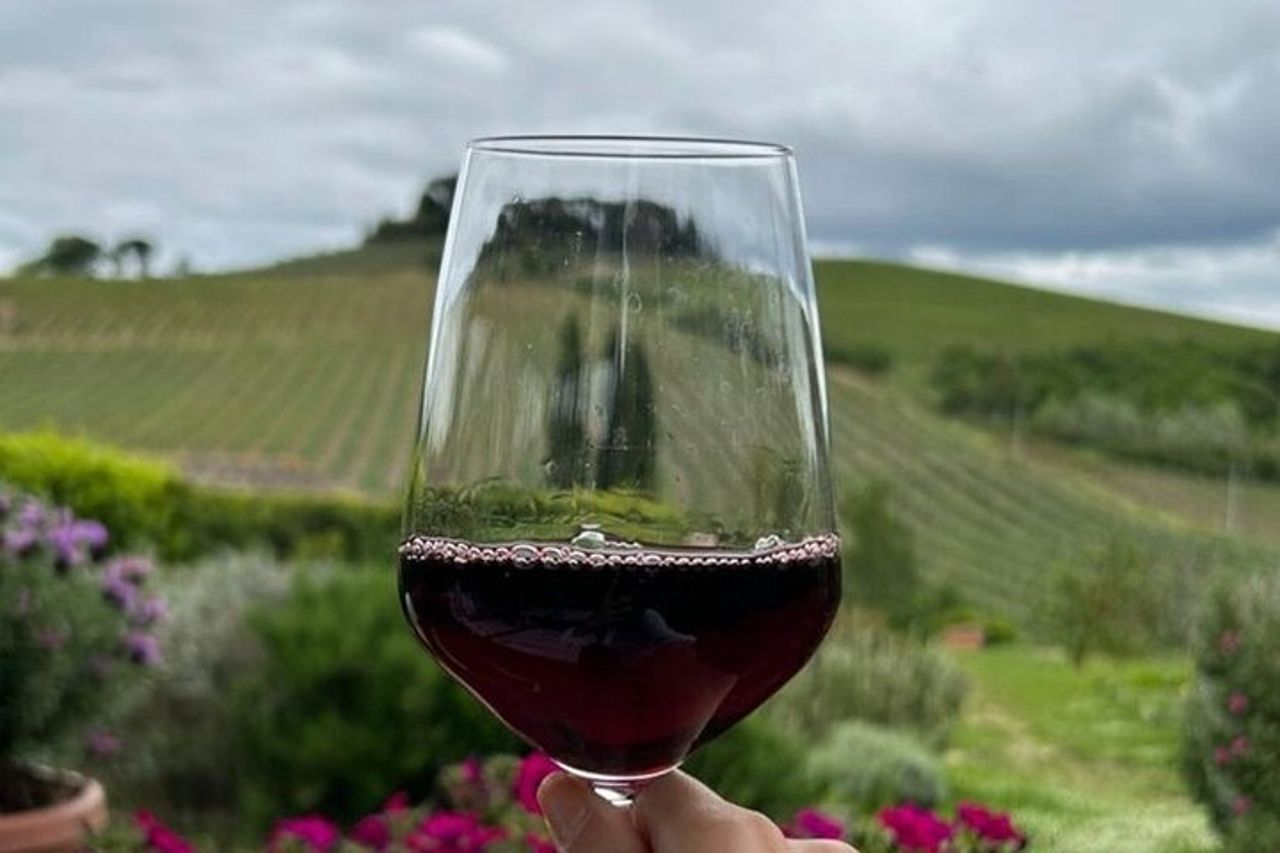 Tour e Degustazione del Chianti Classico — 5