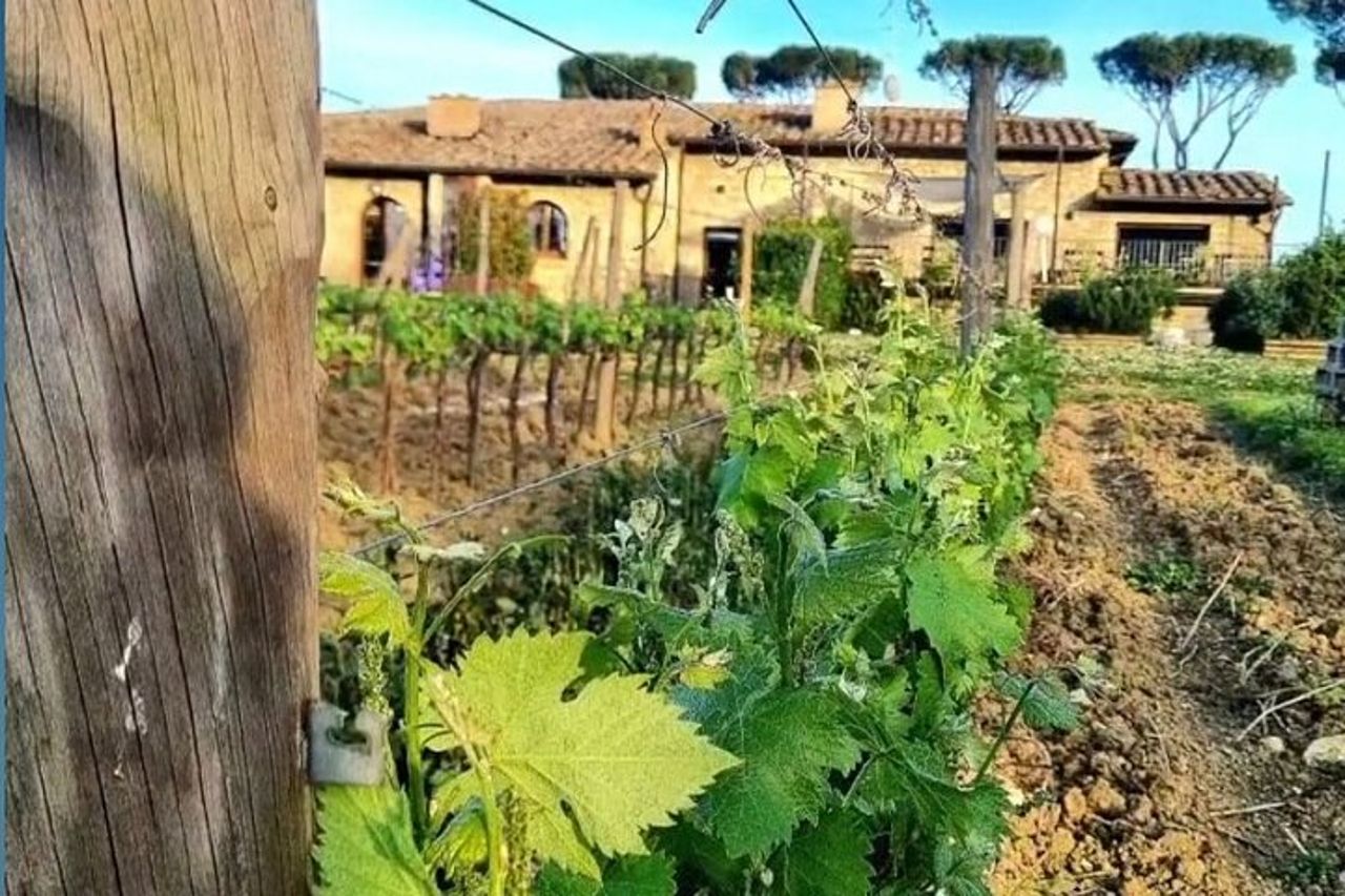 Tour e Degustazione del Chianti Classico — 8