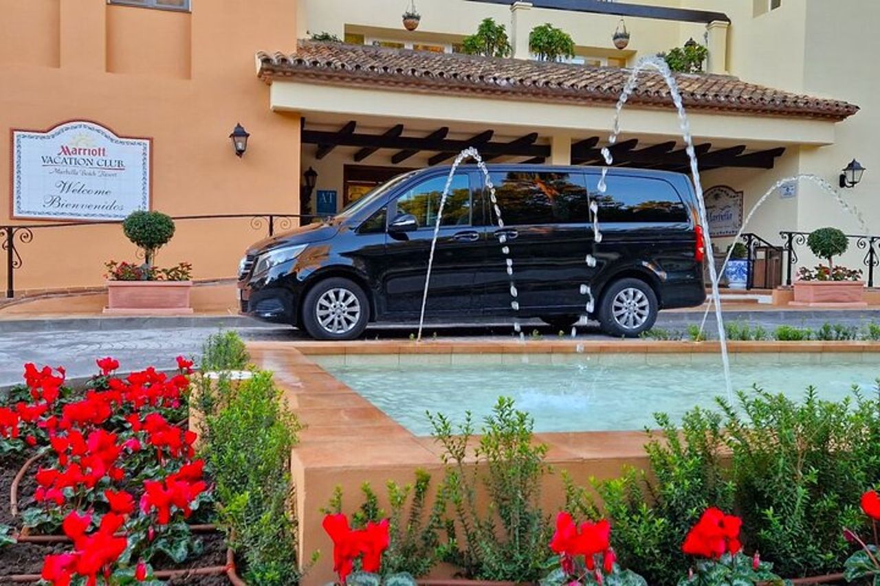 Tour privato di un giorno a Malaga con hotel o ritiro a terra da Marbella — 3