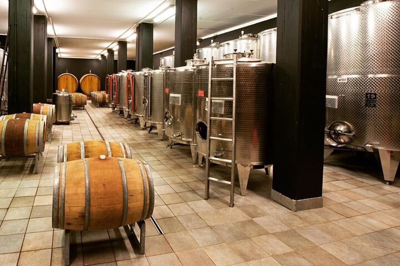 Tour e degustazione di vino e cioccolato nella zona di Alba — 7