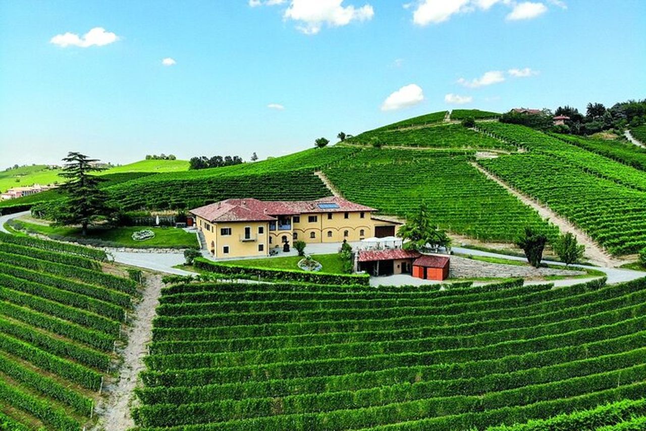 Tour e degustazione di vino e cioccolato nella zona di Alba — 8