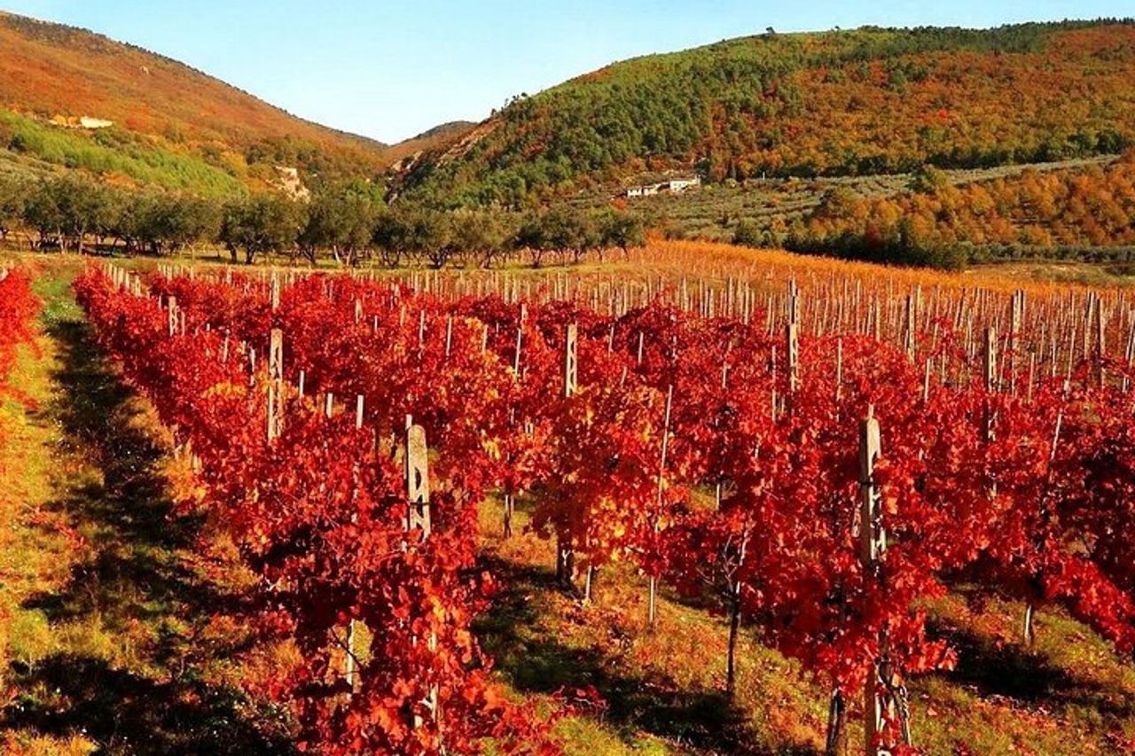 Scoperta privata degli Etruschi: Pitigliano, Orvieto & Wine Design — 2