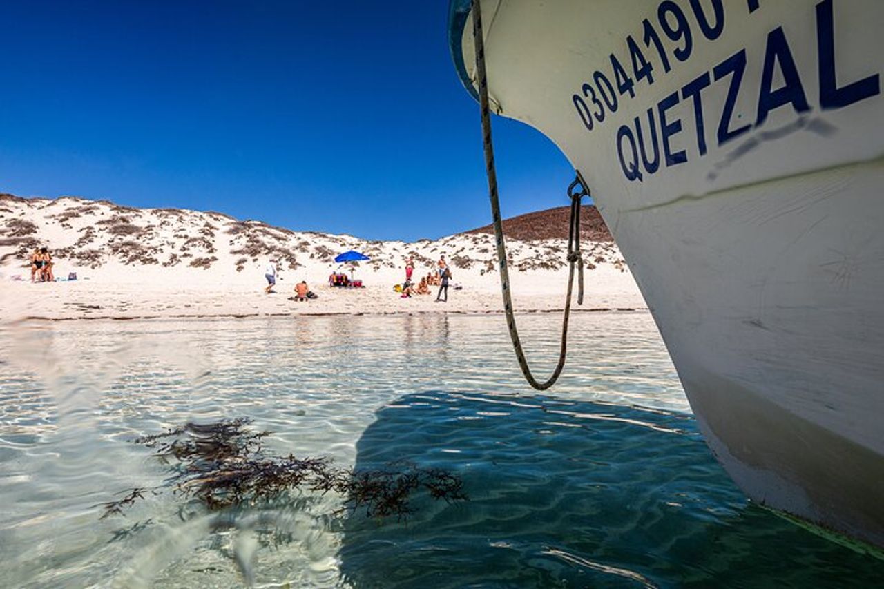 Snorkeling tra squali balena e leoni marini e pranzo sulla spiaggia di Balandra — 5