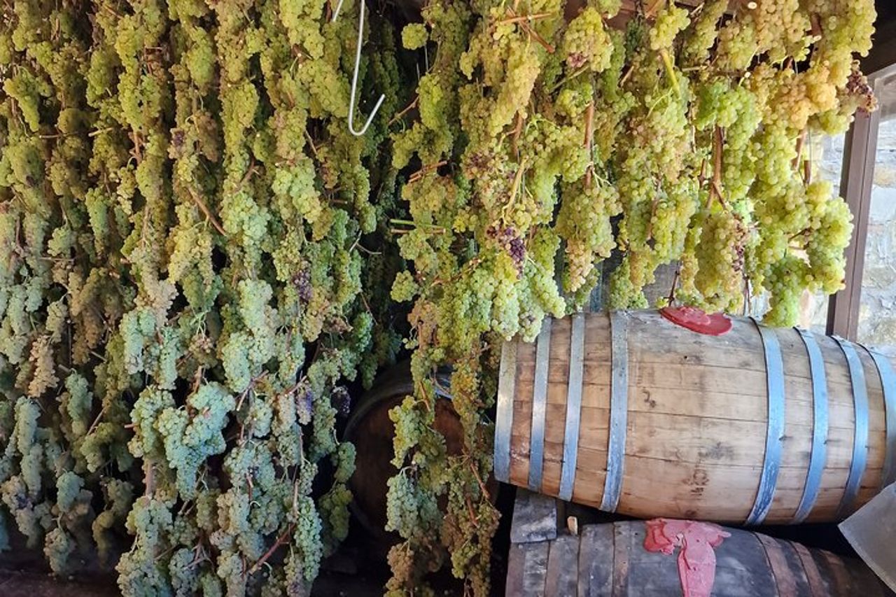 Wine Tours Chianti all inclusive Pranzo & Degustazione 1 cantina — 9