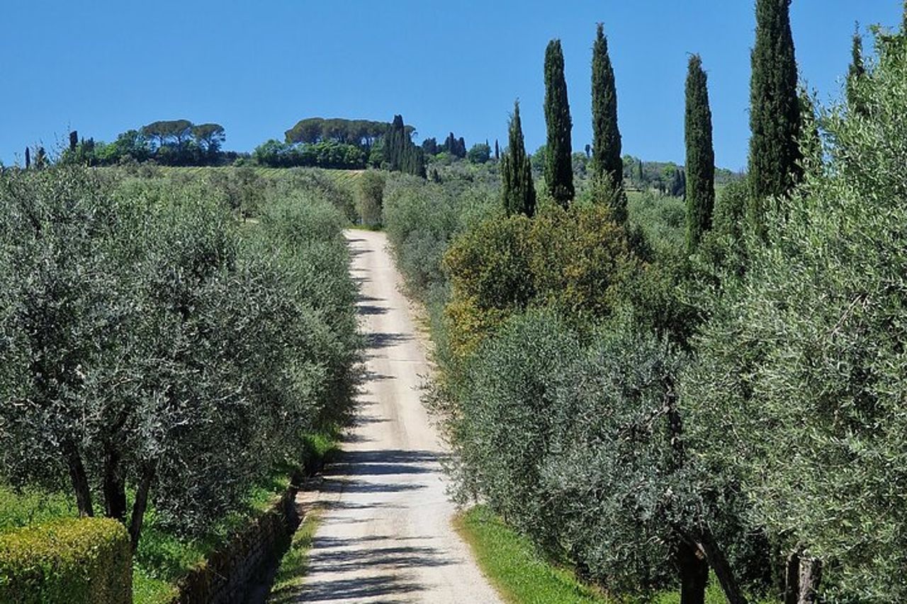Wine Tours Chianti all inclusive Pranzo & Degustazione 1 cantina — 5