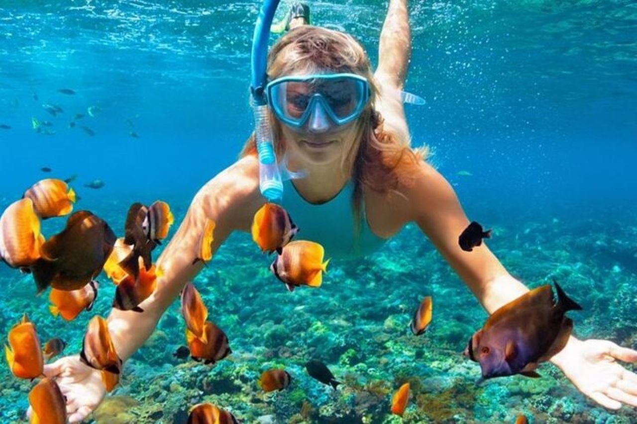 Baia di Nha Trang: esplora lo snorkeling di mezza giornata a Coral Reef — 3
